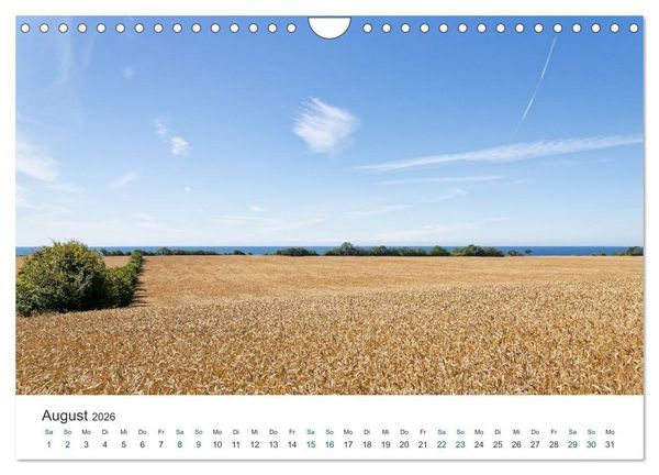 Produktbild: Bornholm - Die Sommerinsel (Wandkalender 2026 DIN A4 quer), CALVENDO Monatskalender