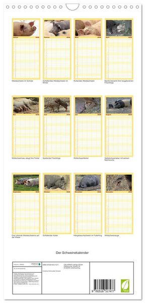 Produktbild: Familienplaner 2026 - Der Schweinekalender mit 5 Spalten (Wandkalender, 21 x 45 cm) CALVENDO