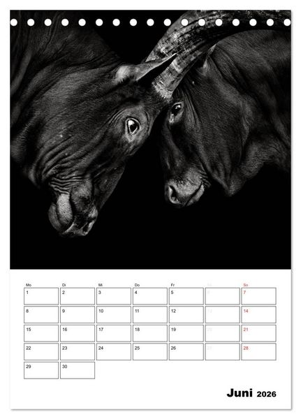 Produktbild: Charakterk&ouml;pfe aus der Welt der Tiere (Tischkalender 2026 DIN A5 hoch), CALVENDO Monatskalender