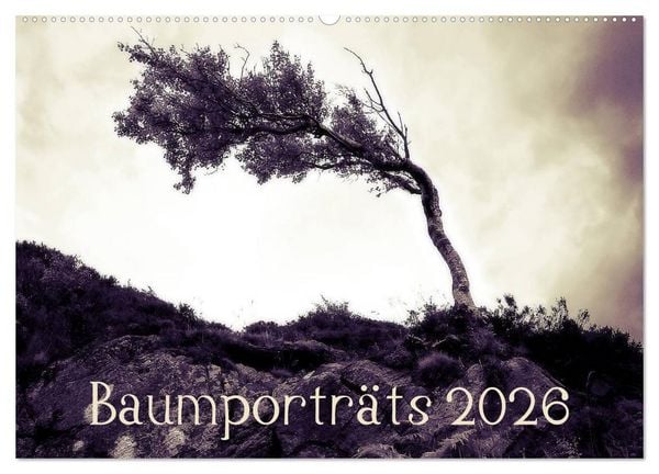 Baumporträts 2026 (Wandkalender 2026 DIN A2 quer), CALVENDO Monatskalender