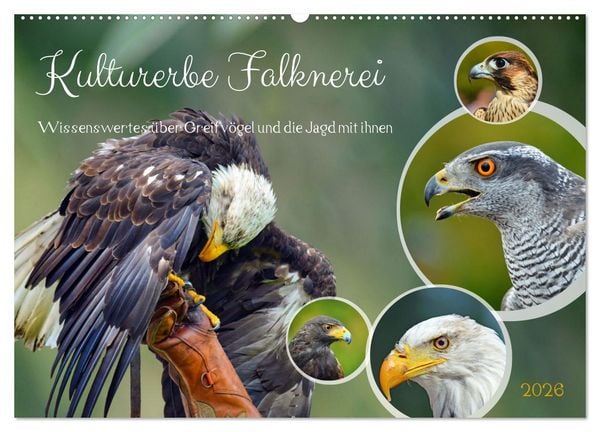 Produktbild: Kulturerbe Falknerei (Wandkalender 2026 DIN A2 quer), CALVENDO Monatskalender