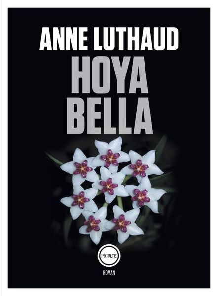Produktbild: Hoya bella