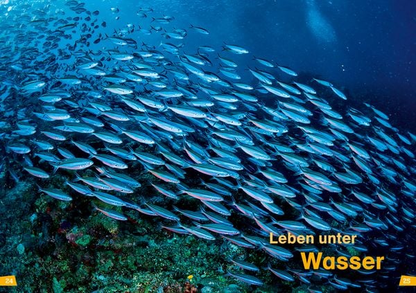 Produktbild: WAS IST WAS Erstes Lesen Band 12. Ozeane