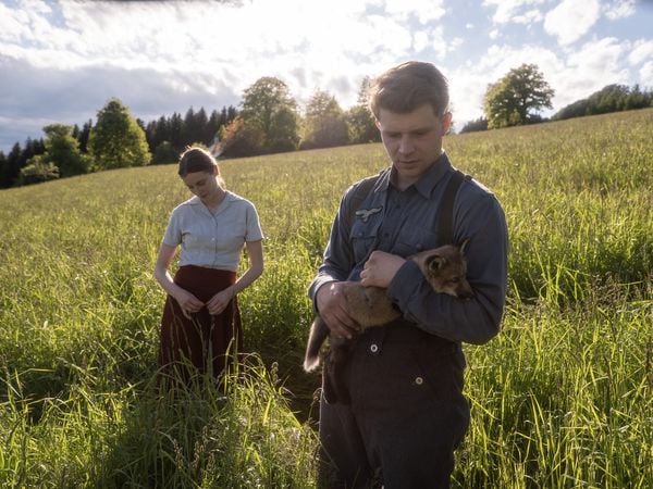 Produktbild: Der Fuchs