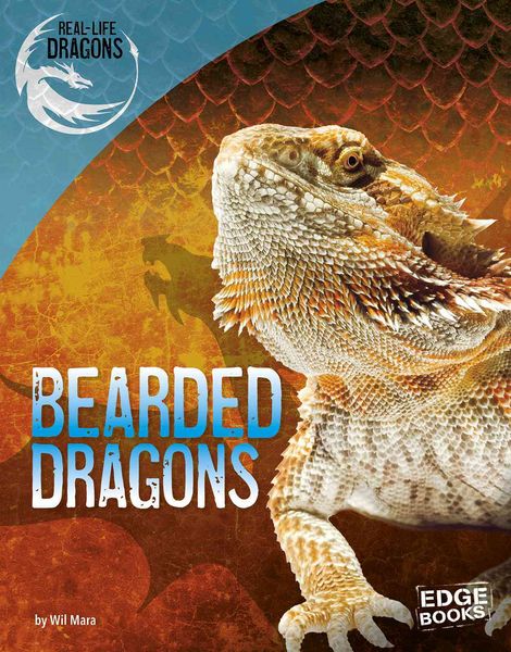 Produktbild: Bearded Dragons