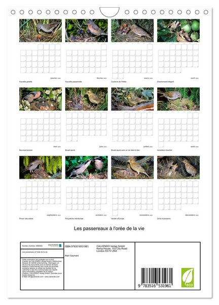 Produktbild: Les passereaux &agrave; l'or&eacute;e de la vie (Calendrier mural 2026 DIN A4 horizontal), CALVENDO calendrier mensuel