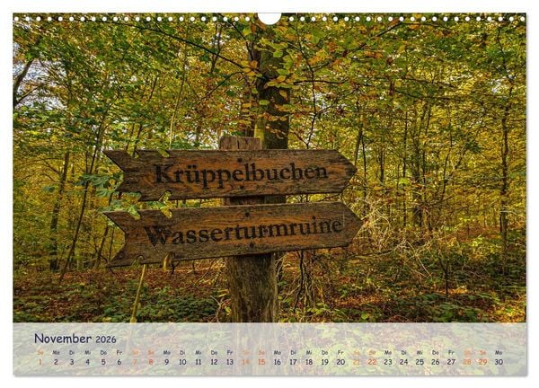 Produktbild: R&uuml;genliebe (Wandkalender 2026 DIN A3 quer), CALVENDO Monatskalender