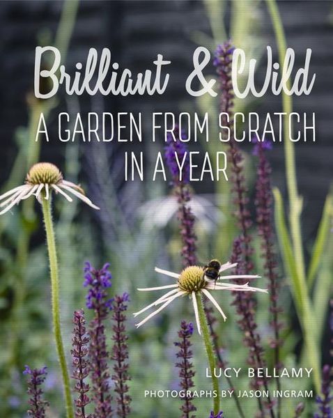 Produktbild: Brilliant and Wild