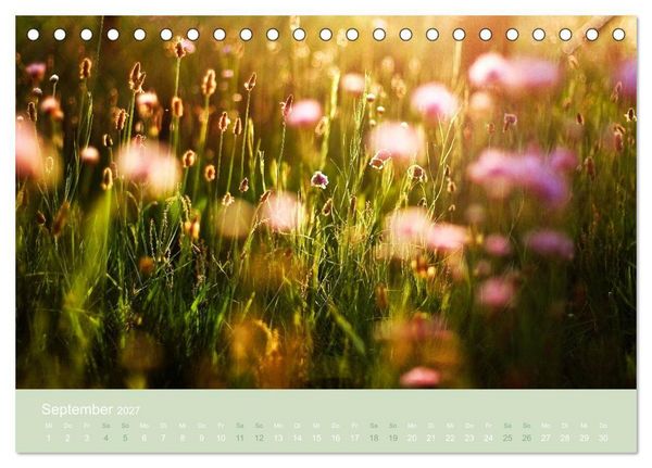 Produktbild: Zeitenwandel - Ein Jahr in der Natur (Tischkalender 2027 DIN A5 quer), CALVENDO Monatskalender