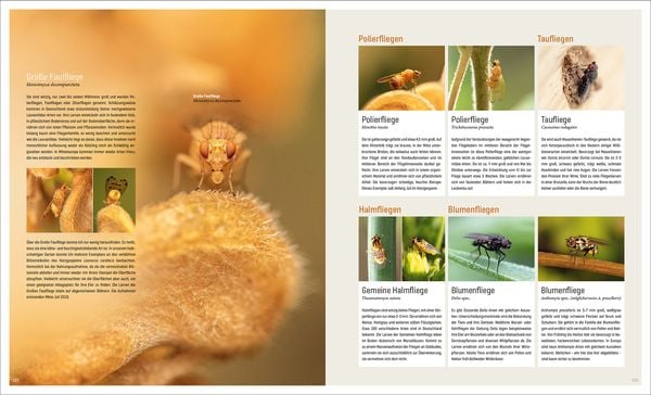 Produktbild: Mein Artenretter Garten