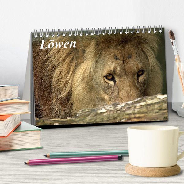 Produktbild: L&ouml;wen (Tischkalender 2026 DIN A5 quer), CALVENDO Monatskalender