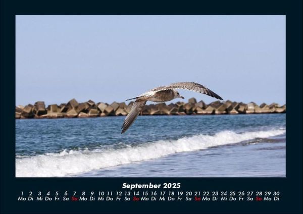 Produktbild: Str&auml;nde der Welt 2025 Fotokalender DIN A4