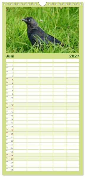 Produktbild: Familienplaner 2027 - Das Leben der Rabenv&ouml;gel mit 5 Spalten (Wandkalender, 21 x 45 cm) CALVENDO