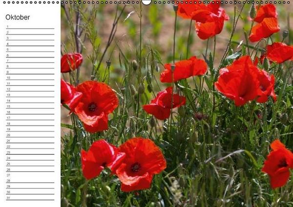 Produktbild: Ich denk an Dich ... Pers&ouml;nlicher Terminkalender (Wandkalender immerw&auml;hrend DIN A2 quer)