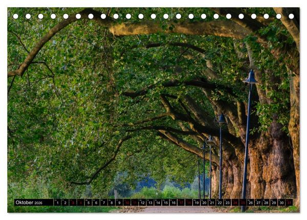 Produktbild: Ludwigshafen - Lebenswerte Stadt am Rhein (Tischkalender 2026 DIN A5 quer), CALVENDO Monatskalender
