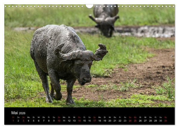 Produktbild: S&uuml;dafrika (Wandkalender 2026 DIN A3 quer), CALVENDO Monatskalender