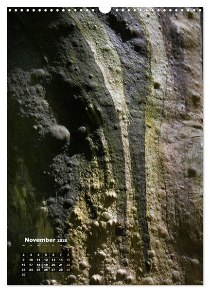 Produktbild: Zauberb&auml;ume (Wandkalender 2026 DIN A3 hoch), CALVENDO Monatskalender