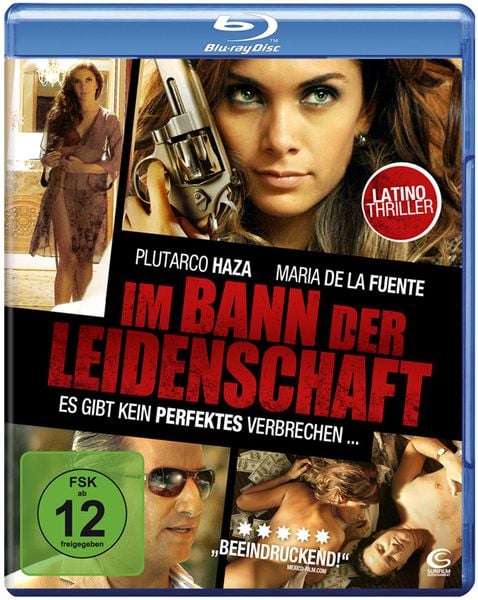 Produktbild: Im Bann der Leidenschaft