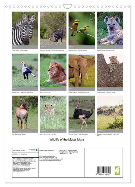 Produktbild: Wildlife of the Masai Mara (Wall Calendar 2026 DIN A3 portrait), CALVENDO 12 Month Wall Calendar