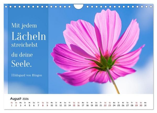 Produktbild: Lebensweisheiten, motivierende Spr&uuml;che und kluge Zitate mit Bildern der Natur (Wandkalender 2026 DIN A4 quer), CALVENDO Monatskalender