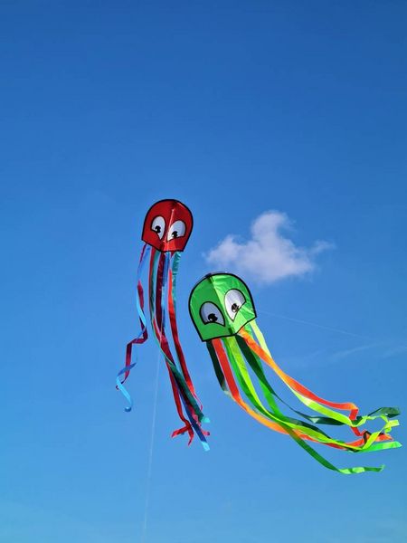 Produktbild: Paul G&uuml;nther 1163 - OCTOPUS, Einleiner-Drachen, 33cmx2,5m, 1 St&uuml;ck (Farbauswahl nicht m&ouml;glich!)