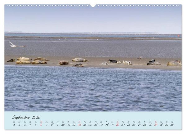 Produktbild: Nordsee &ndash; D&uuml;nen, Sand, Wasser und Wolken (Wandkalender 2026 DIN A2 quer), CALVENDO Monatskalender