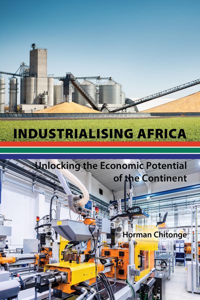 Produktbild: Industrialising Africa