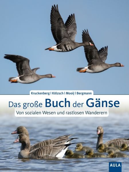 Produktbild: Das gro&szlig;e Buch der G&auml;nse