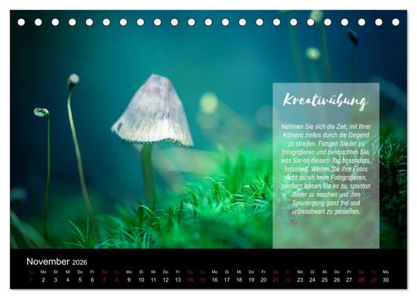 Produktbild: Die Sch&ouml;nheit der Natur - Naturfotografie-Kalender mit Foto- und Kreativ&uuml;bungen (Tischkalender 2026 DIN A5 quer), CALVENDO Monatskalender