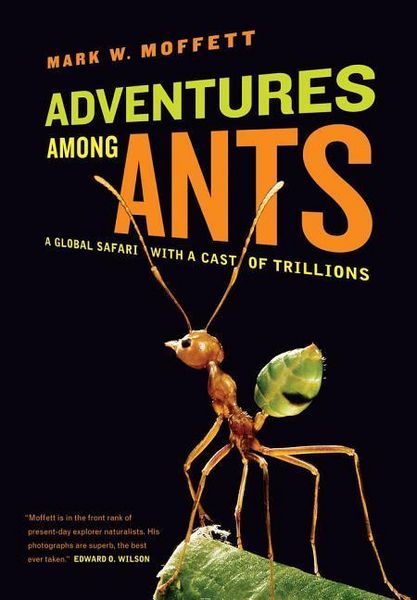 Produktbild: Adventures among Ants
