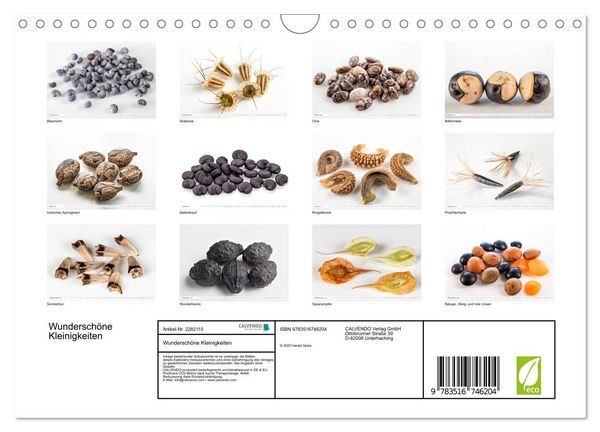 Produktbild: Wundersch&ouml;ne Kleinigkeiten (Wandkalender 2026 DIN A4 quer), CALVENDO Monatskalender