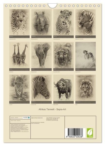 Produktbild: Afrikas Tierwelt - Sepia-Art (Wandkalender 2026 DIN A4 hoch), CALVENDO Monatskalender