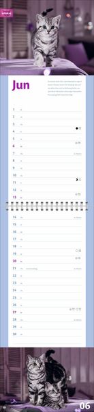 Produktbild: Whiskas Katzenleben Kalender 2027