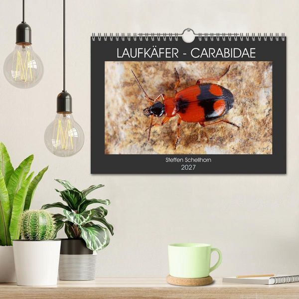 Produktbild: LAUFK&Auml;FER - CARABIDAE (Wandkalender 2027 DIN A4 quer), CALVENDO Monatskalender