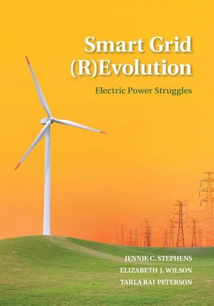 Produktbild: Smart Grid (R)Evolution