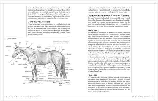 Produktbild: The Horse Conformation Handbook