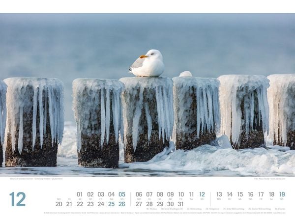 Produktbild: Nordsee ReiseLust Kalender 2027 | von Ostfriesland bis nach Sylt