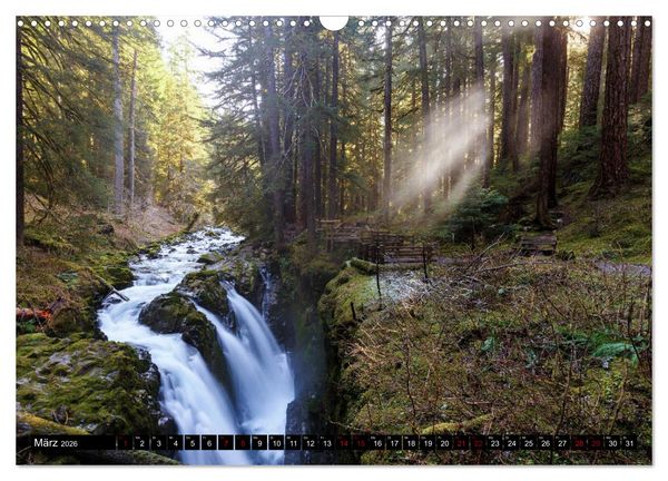 Produktbild: Waldwasser (Wandkalender 2026 DIN A3 quer), CALVENDO Monatskalender