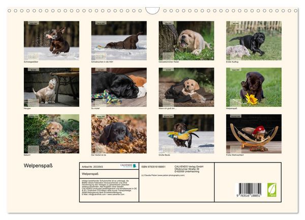 Produktbild: Welpenspa&szlig; (Wandkalender 2026 DIN A3 quer), CALVENDO Monatskalender