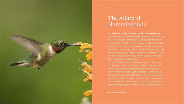 Produktbild: The Hummingbird Handbook