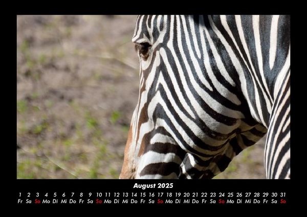 Produktbild: Zebrazauber 2025 Fotokalender DIN A3