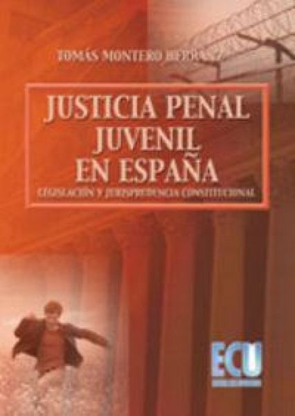 Produktbild: La justicia penal juvenil en Espa&ntilde;a : legislaci&oacute;n y jurisprudencia constitucional
