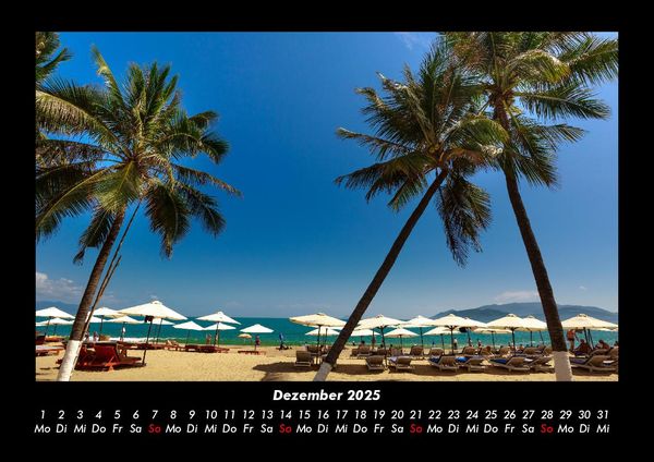 Produktbild: Palmen 2025 Fotokalender DIN A3
