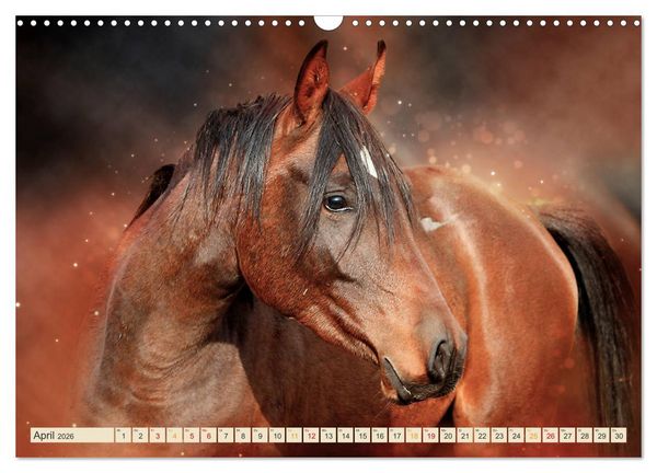 Produktbild: Eleganz und Sch&ouml;nheit - Pferde (Wandkalender 2026 DIN A3 quer), CALVENDO Monatskalender