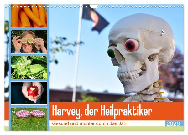 Produktbild: Harvey, der Heilpraktiker (Wandkalender 2026 DIN A3 quer), CALVENDO Monatskalender