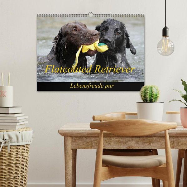 Produktbild: Flatcoated Retriever (Wandkalender 2026 DIN A3 quer), CALVENDO Monatskalender