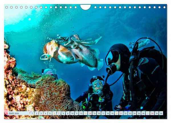 Produktbild: Tauchen - Abenteuer unter Wasser (Wandkalender 2026 DIN A4 quer), CALVENDO Monatskalender