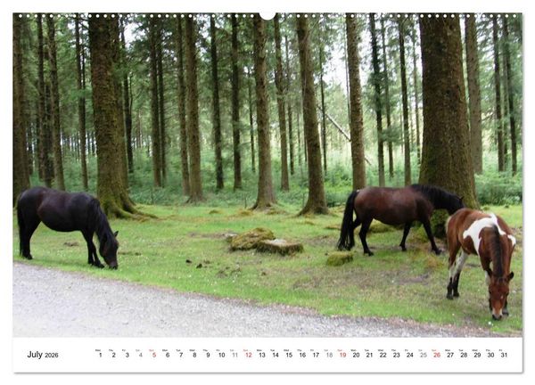 Produktbild: Charming - Mystic Devon Dartmoor, South England (High Quality Premium Wall Calendar 2026 DIN A2 landscape),CALVENDO 12 Month Wall Calendar