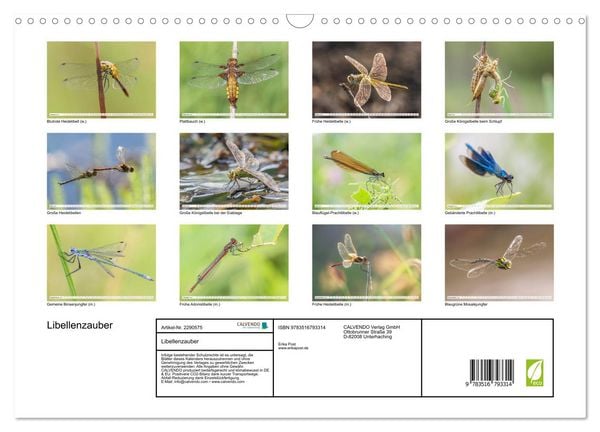 Produktbild: Libellenzauber (Wandkalender 2027 DIN A3 quer), CALVENDO Monatskalender