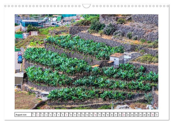 Produktbild: Insel der Sehnsucht - La Gomera (Wandkalender 2026 DIN A3 quer), CALVENDO Monatskalender